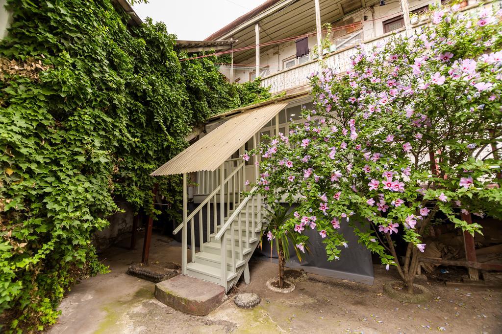 In Cozy Little Yard * Tbilisi